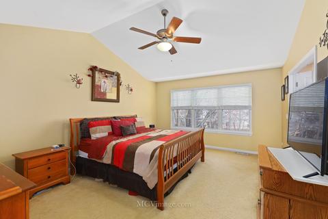 26204 Mapleview Dr, Plainfield, IL 60585 photo 24