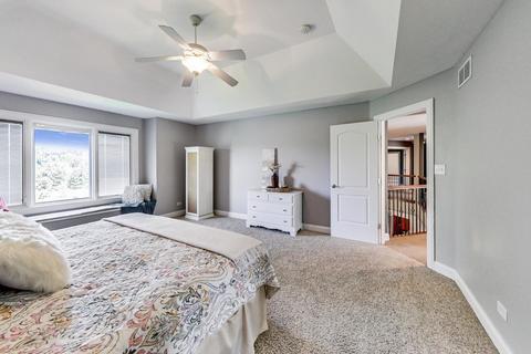 16114 Gamay Dr, Plainfield, IL 60586 photo 50