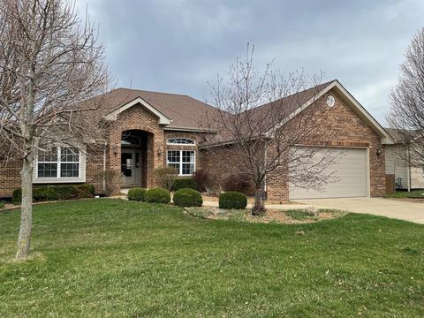 913 W Westgate Dr, Peotone, IL 60468 photo 2