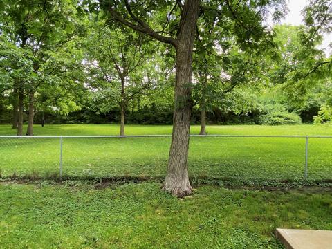 10 Edgewood Ct, Bloomington, IL 61701 photo 51
