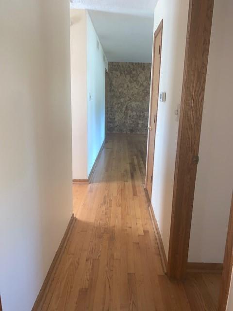 11447 Normandy Ave, Worth, IL 60482 photo 4