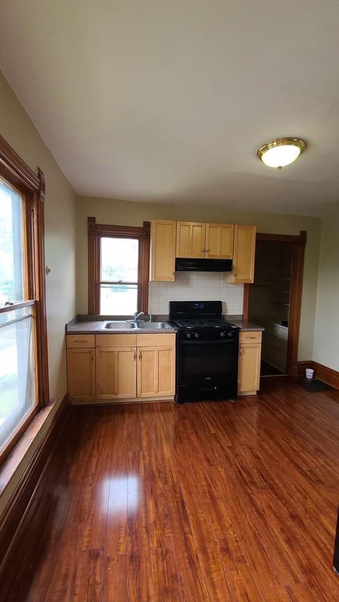 227 Hill Ave, Elgin, IL 60120 photo 4