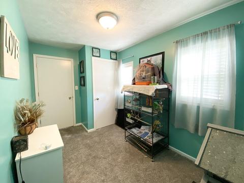 201 E Scott St, Odell, IL 60460 photo 14