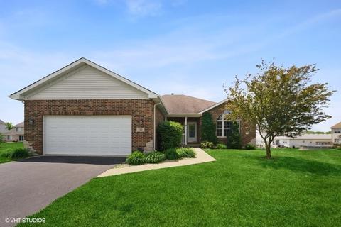 189 Bald Eagle Ln, Beecher, IL 60401 photo 1
