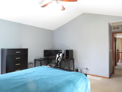 4209 Rivertowne Ct, Plainfield, IL 60586 photo 21