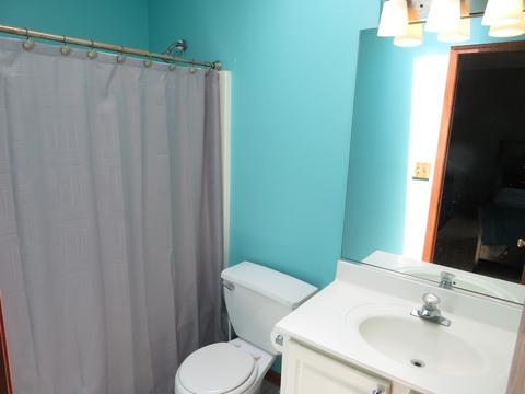 4209 Rivertowne Ct, Plainfield, IL 60586 photo 23