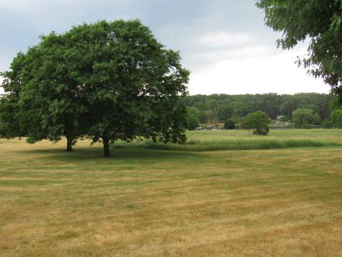9921 Amanda Ln, Algonquin, IL 60102 photo 12