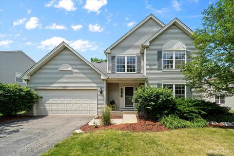 2203 Ashby Ln, Plainfield, IL 60586 photo 1
