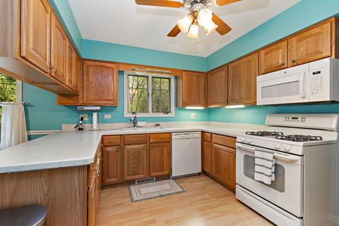 876 Walnut Dr, Sleepy Hollow, IL 60118 photo 10