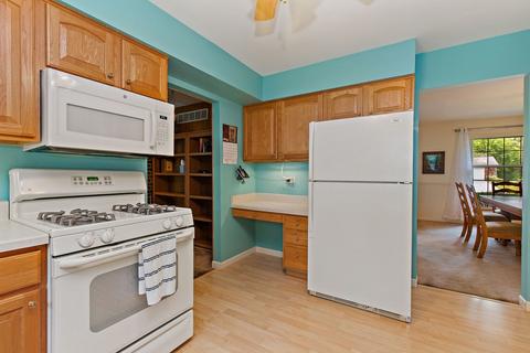 876 Walnut Dr, Sleepy Hollow, IL 60118 photo 12
