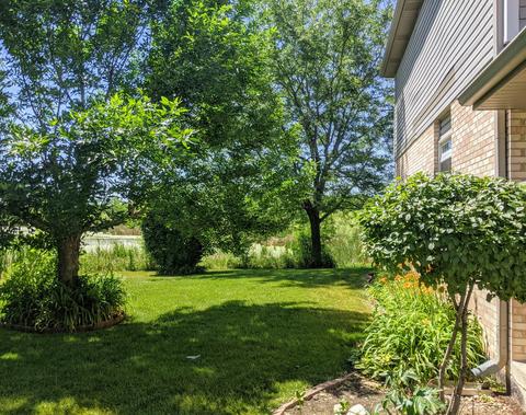2172 W Adobe Dr, Addison, IL 60101 photo 3
