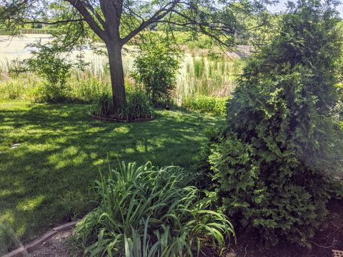 2172 W Adobe Dr, Addison, IL 60101 photo 30