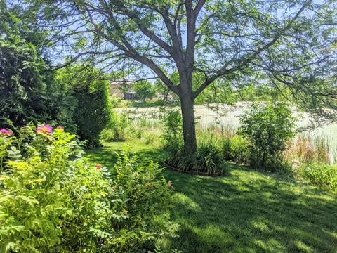 2172 W Adobe Dr, Addison, IL 60101 photo 31