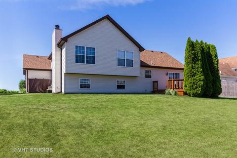 4668 W Iris Ln, Monee, IL 60449 photo 15