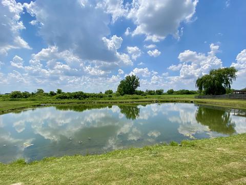 4668 W Iris Ln, Monee, IL 60449 photo 7