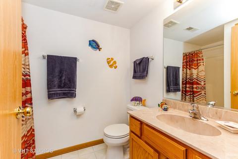 4668 W Iris Ln, Monee, IL 60449 photo 14