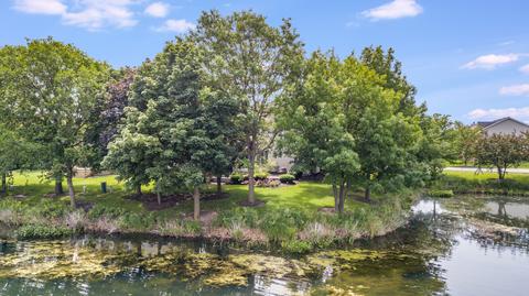 21022 W Boulder Dr, Plainfield, IL 60544 photo 35