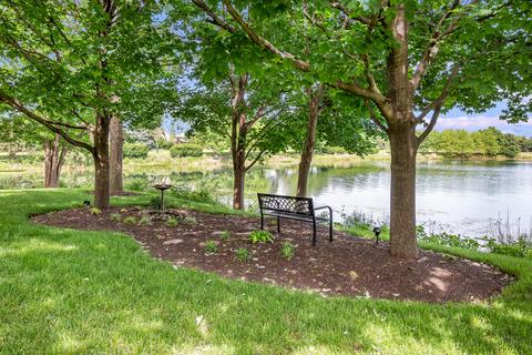 21022 W Boulder Dr, Plainfield, IL 60544 photo 37