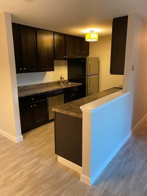 1480 Stonebridge Cir #4D, Wheaton, IL 60189 photo 5