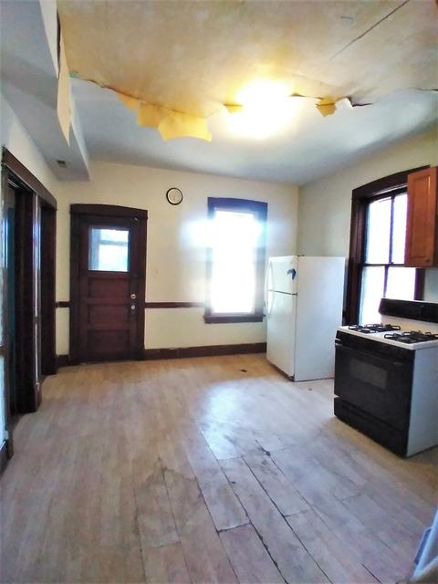2943 N Gresham Ave, Chicago, IL 60618 photo 9