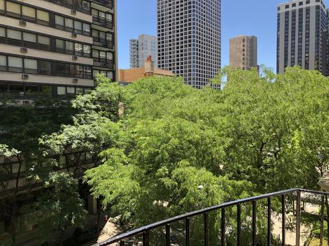 40 E Cedar St #6B, Chicago, IL 60611 photo 9