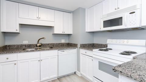 40 E 9th St #413, Chicago, IL 60605 photo 11