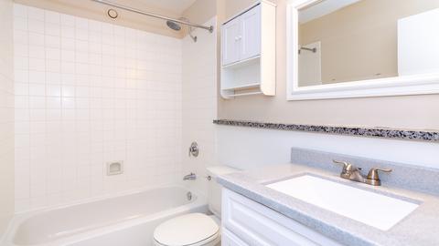 40 E 9th St #413, Chicago, IL 60605 photo 17
