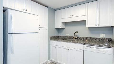 40 E 9th St #413, Chicago, IL 60605 photo 13