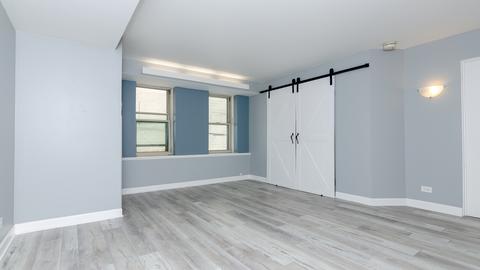 40 E 9th St #413, Chicago, IL 60605 photo 6