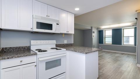 40 E 9th St #413, Chicago, IL 60605 photo 12