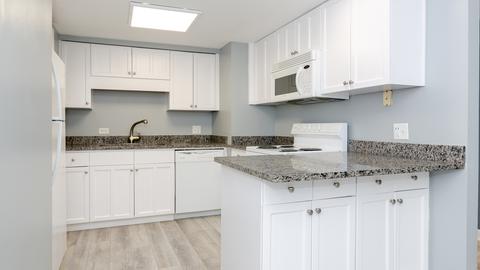 40 E 9th St #413, Chicago, IL 60605 photo 10