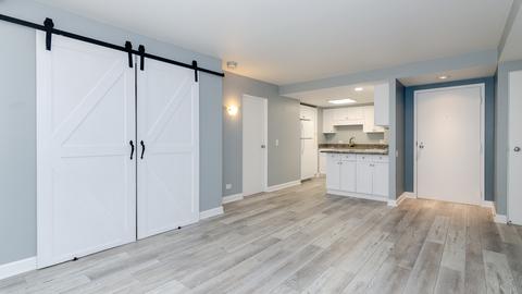 40 E 9th St #413, Chicago, IL 60605 photo 8