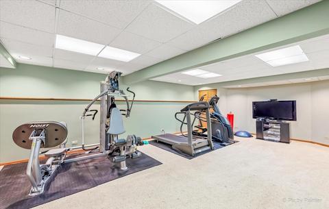 814 Concord Ln, Hoffman Estates, IL 60192 photo 48