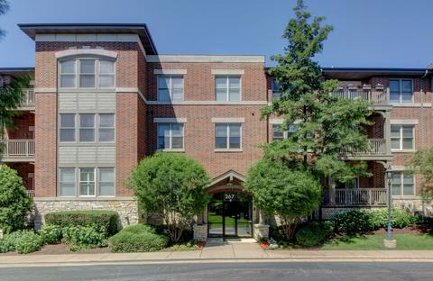 267 E Railroad Ave #203, Bartlett, IL 60103 photo 1