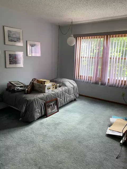 615 E Cherry Ave, Cherry, IL 61317 photo 7