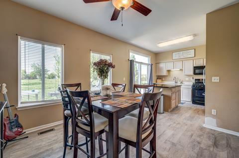 21260 Edison Ln, Plainfield, IL 60544 photo 8