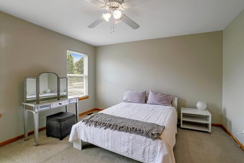 25061 Michele Dr, Plainfield, IL 60544 photo 20