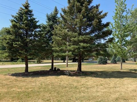 6204 Meyer Rd, Marengo, IL 60152 photo 30