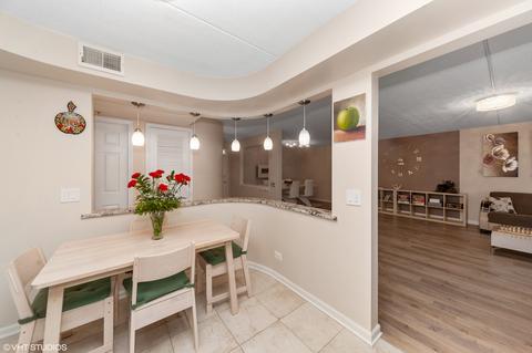 1600 E Thacker St #201, Des Plaines, IL 60016 photo 12