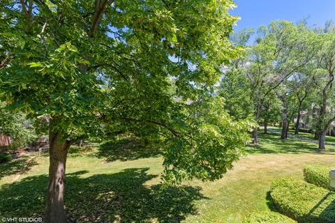 1602 Newburn Ct #B2, Wheeling, IL 60090 photo 12