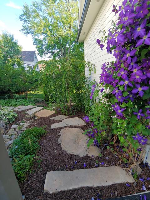 842 N Summit St, Wheaton, IL 60187 photo 33