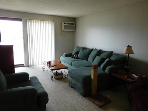 213 Gregory St #9, Aurora, IL 60504 photo 2