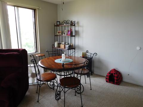 213 Gregory St #9, Aurora, IL 60504 photo 4