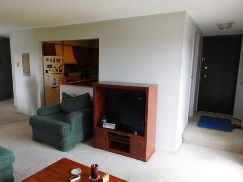 213 Gregory St #9, Aurora, IL 60504 photo 5