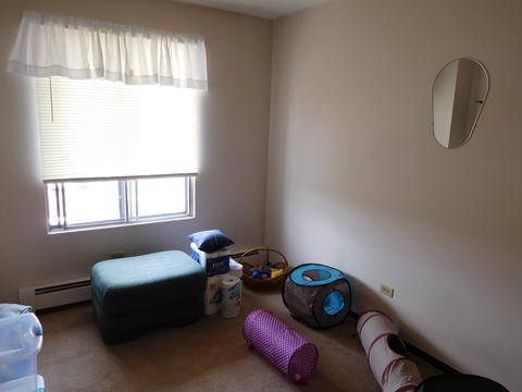 213 Gregory St #9, Aurora, IL 60504 photo 11