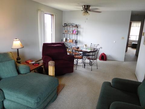 213 Gregory St #9, Aurora, IL 60504 photo 3