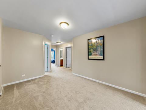 24853 Winterberry Ln, Plainfield, IL 60585 photo 29