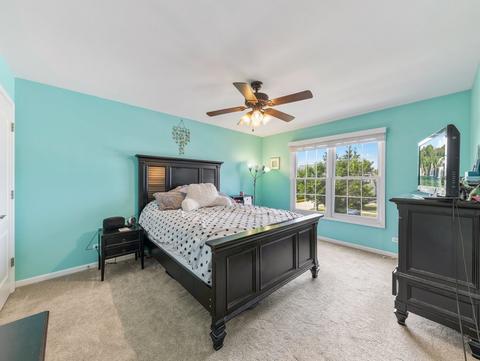 24853 Winterberry Ln, Plainfield, IL 60585 photo 24