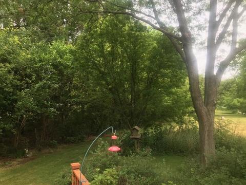 9 N087 Corron Rd, Elgin, IL 60124 photo 11