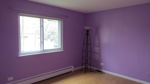 8149 Ogden Ave #2S, Lyons, IL 60534 photo 9
